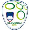 Dresi Slovenija reprezentance