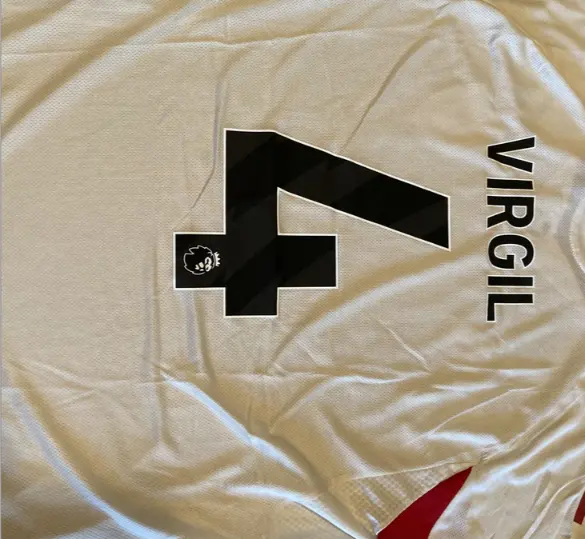 Virgil van Dijk dresi