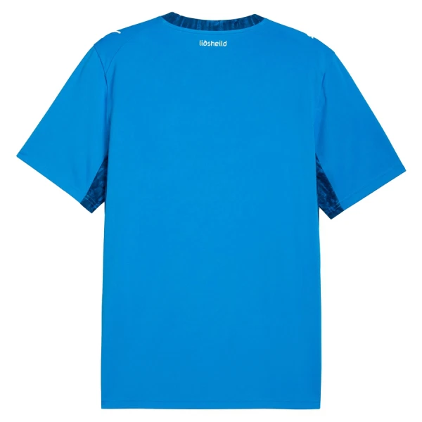 Kupite Moški Nogometni dresi Islandija reprezentance Domači SP 2026-1