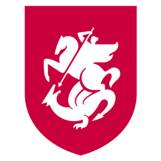 Dresi Gruzija reprezentance