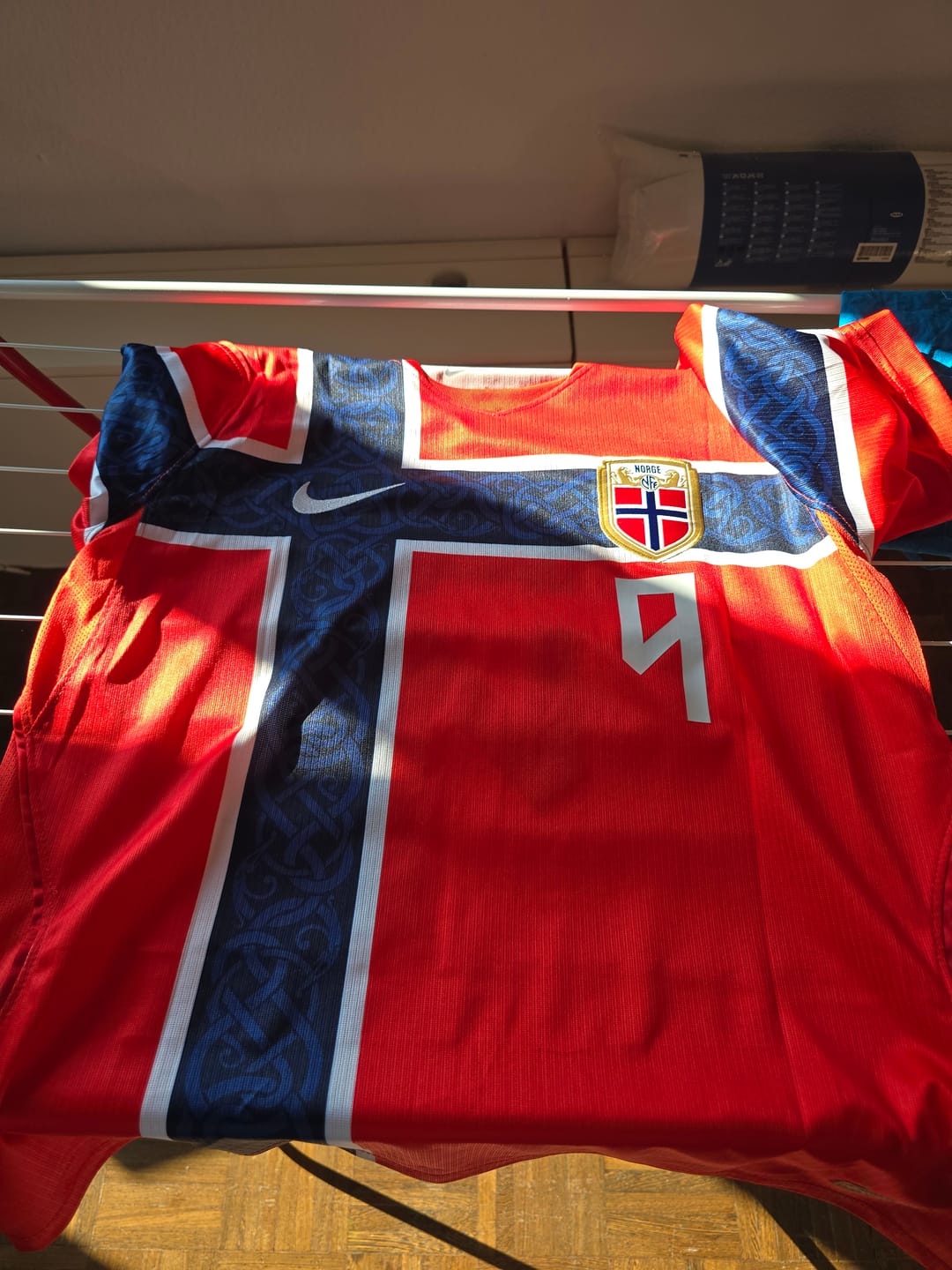 Erling Haaland dresi Norveška